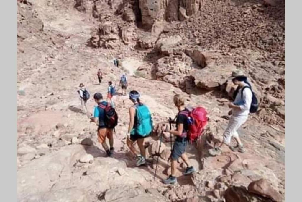 וואדי מוסא Bedouin Nature Travels מראה חיצוני תמונה