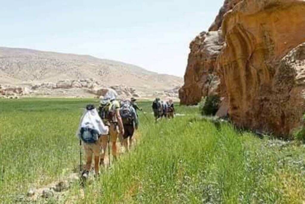 וואדי מוסא Bedouin Nature Travels מראה חיצוני תמונה