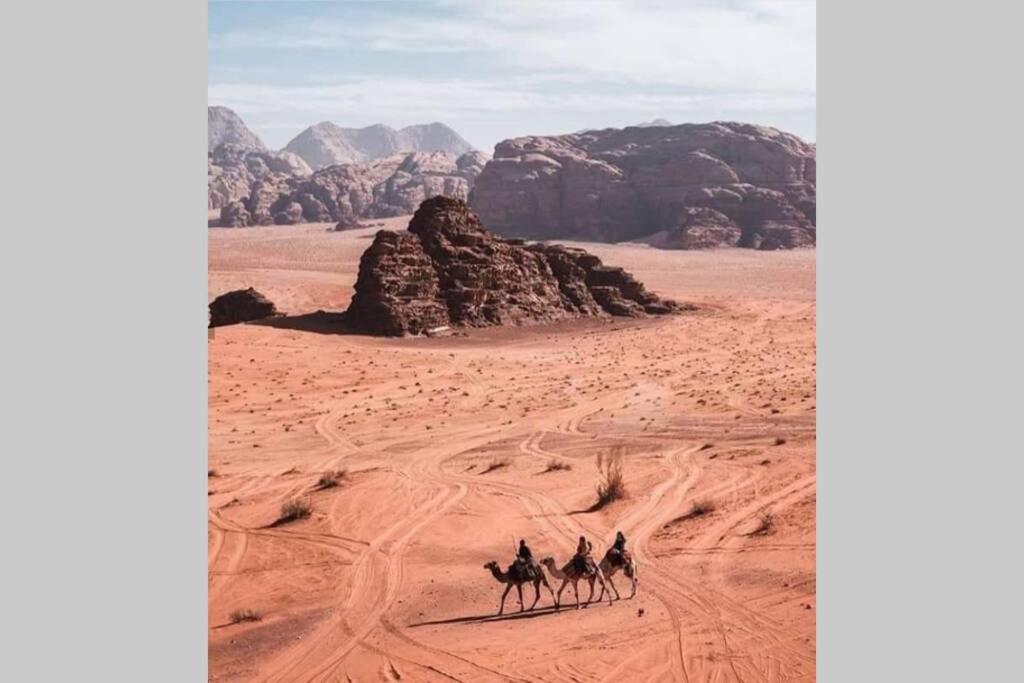 וואדי מוסא Bedouin Nature Travels מראה חיצוני תמונה