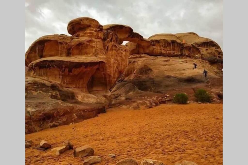 וואדי מוסא Bedouin Nature Travels מראה חיצוני תמונה