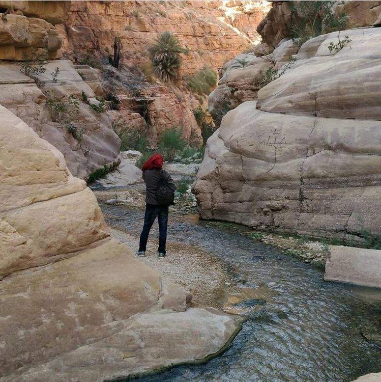 וואדי מוסא Bedouin Nature Travels מראה חיצוני תמונה
