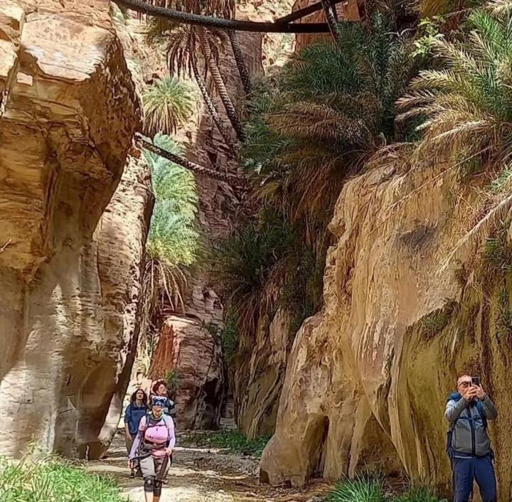 וואדי מוסא Bedouin Nature Travels מראה חיצוני תמונה